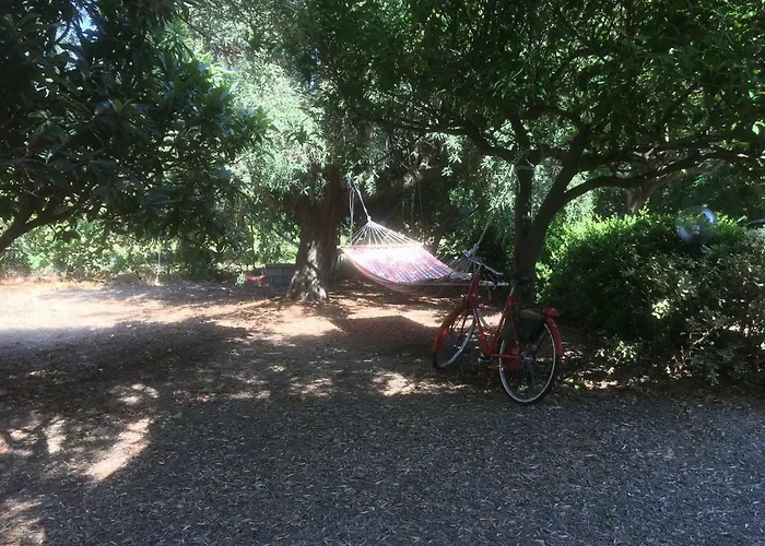 Riviera Dei Gelsomini Villa *